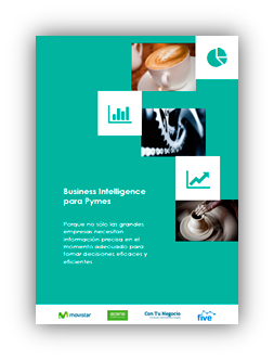 Business Intelligence para Pymes